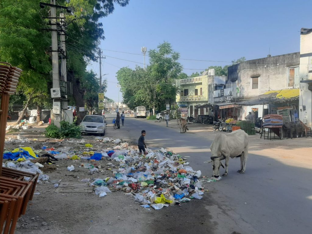 पॉलीथिन खाकर मर रहे व क्रूरता के शिकार पशु धन के बचाव में विराट समाज मौन ?