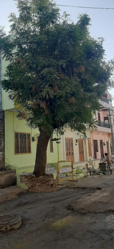 नीम चबूतरा भी नही किया दुरस्त,उबड़ खाबड़ सड़क और जल का हो रहा रिसाव।