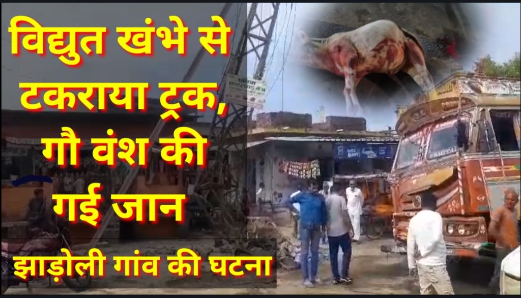 असन्तुलित तेज ट्रक रफ्तार ट्रक ने गौ वंश को चपेट मे लिया,ग्रामीणों ने आक्रोश व्यक्त किया।